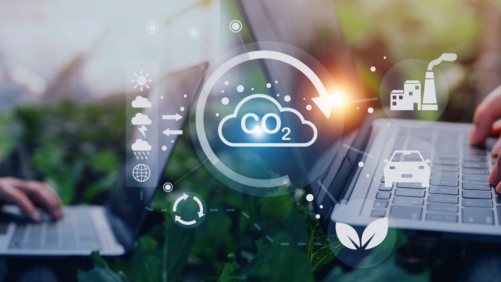 Il cloud di Salesforce per la sostenibilità dell'ambiente